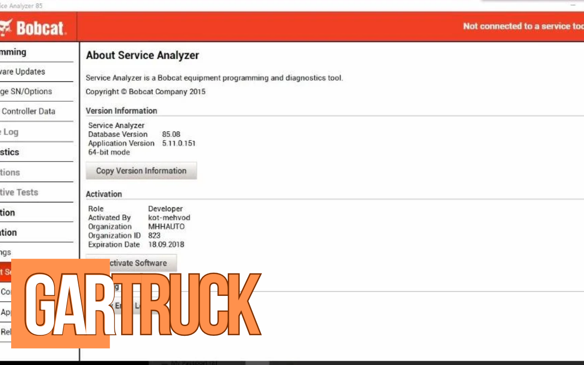 Bobcat diagnostic tool